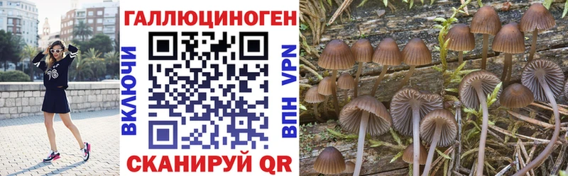 даркнет клад  Великий Устюг  Галлюциногенные грибы MAGIC MUSHROOMS  магазин   